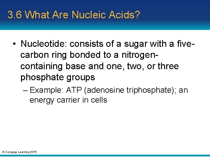 3. 6 What Are Nucleic Acids? • Nucleotide: consists of a sugar with a