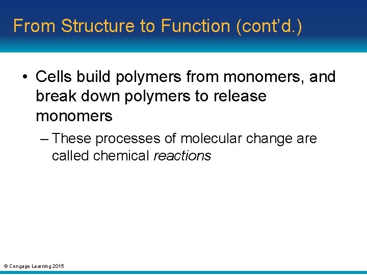 From Structure to Function (cont’d. ) • Cells build polymers from monomers, and break