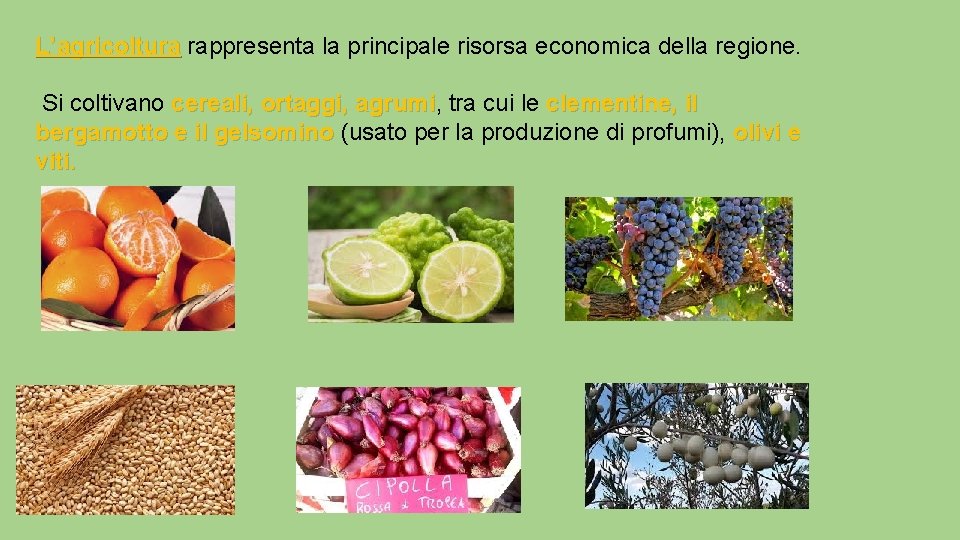 L’agricoltura rappresenta la principale risorsa economica della regione. Si coltivano cereali, ortaggi, agrumi tra