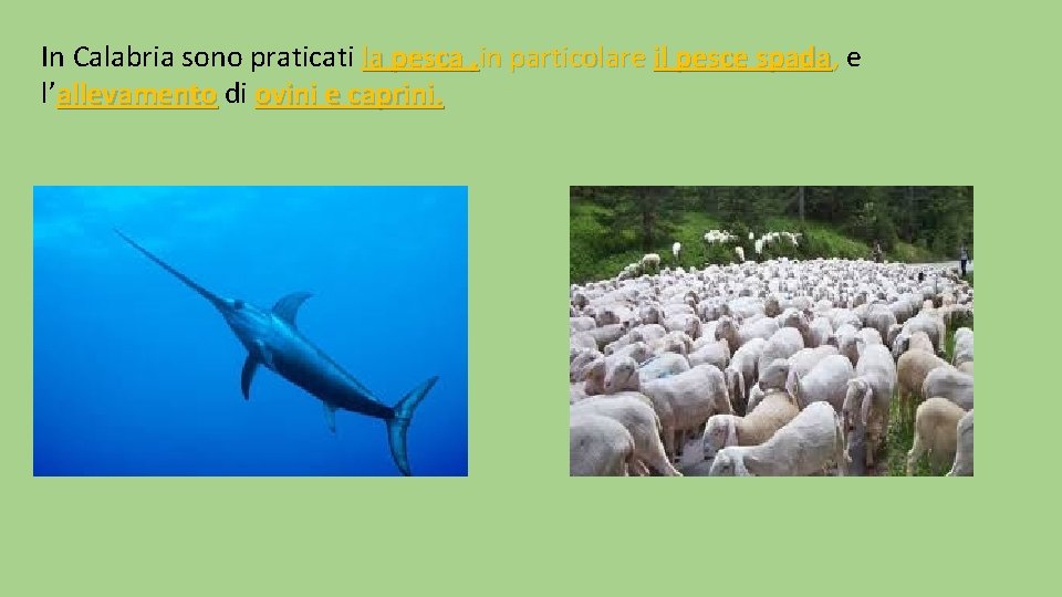 In Calabria sono praticati la pesca , in particolare il pesce spada, e l’allevamento