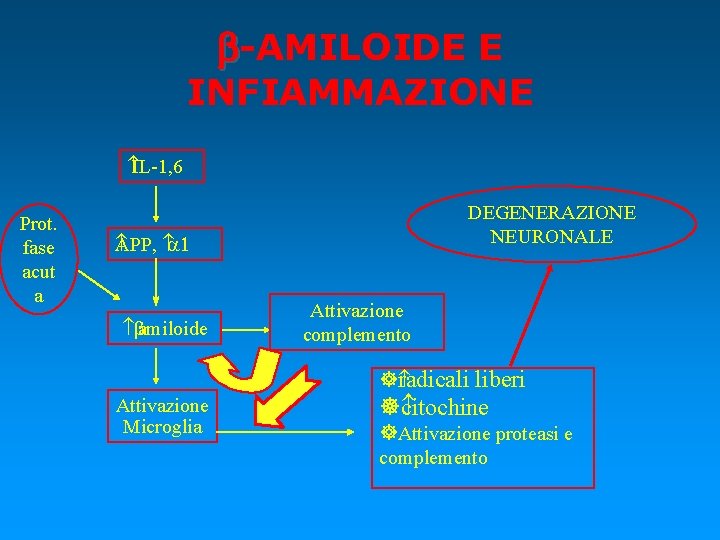 b-AMILOIDE E INFIAMMAZIONE IL-1, 6 Prot. fase acut a DEGENERAZIONE NEURONALE APP, a 1