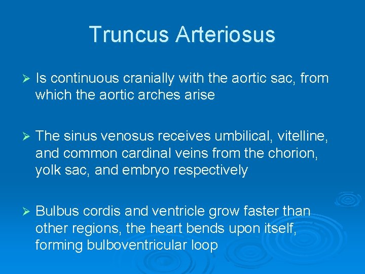 Truncus Arteriosus Ø Is continuous cranially with the aortic sac, from which the aortic