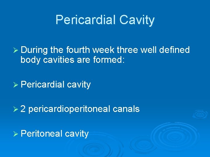 Pericardial Cavity Ø During the fourth week three well defined body cavities are formed: