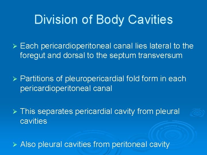 Division of Body Cavities Ø Each pericardioperitoneal canal lies lateral to the foregut and