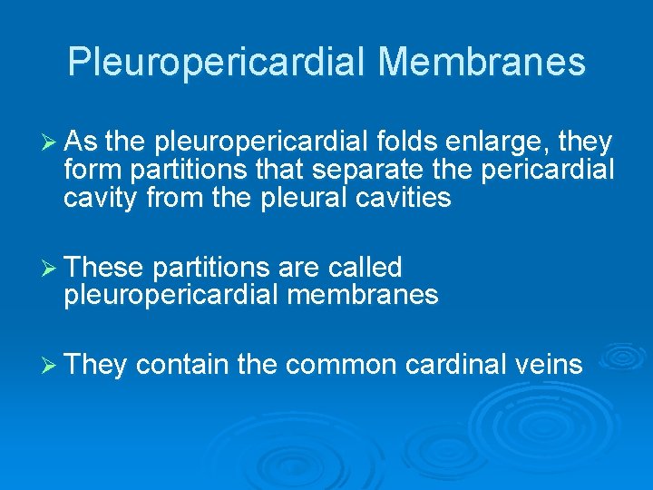 Pleuropericardial Membranes Ø As the pleuropericardial folds enlarge, they form partitions that separate the