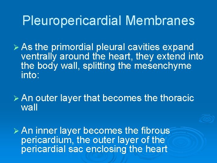 Pleuropericardial Membranes Ø As the primordial pleural cavities expand ventrally around the heart, they