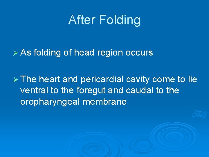 After Folding Ø As folding of head region occurs Ø The heart and pericardial