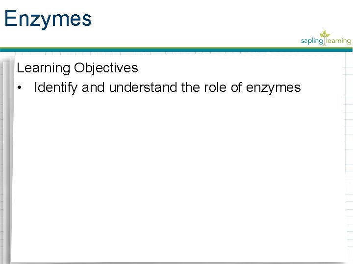Enzymes Learning Objectives • Identify and understand the role of enzymes 
