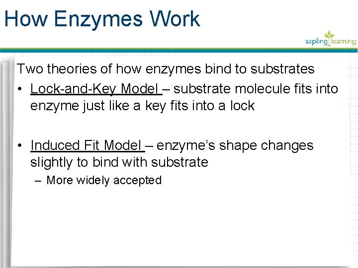 How Enzymes Work Two theories of how enzymes bind to substrates • Lock-and-Key Model