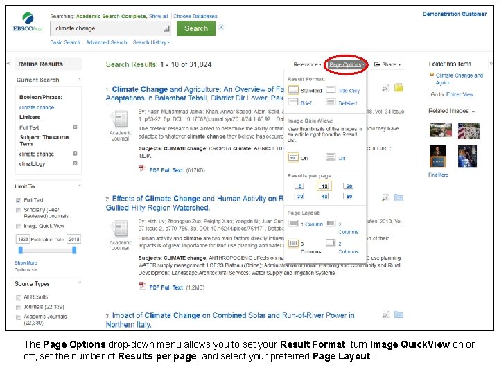 The Page Options drop-down menu allows you to set your Result Format, turn Image