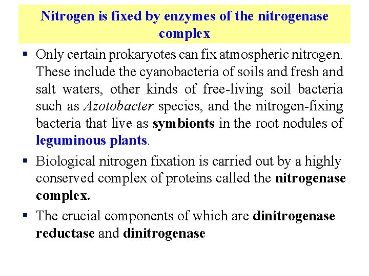 Nitrogen is fixed by enzymes of the nitrogenase complex § Only certain prokaryotes can