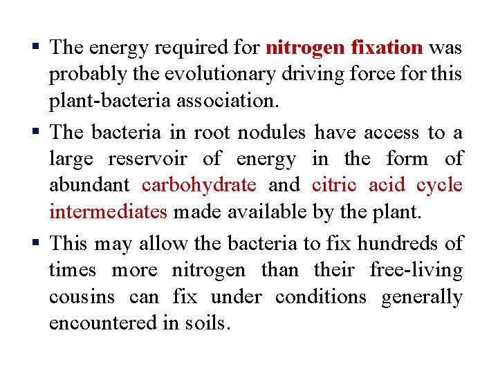§ The energy required for nitrogen fixation was probably the evolutionary driving force for