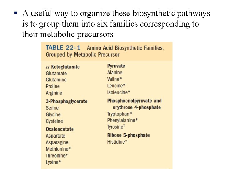 § A useful way to organize these biosynthetic pathways is to group them into