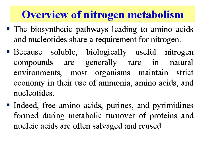 Overview of nitrogen metabolism § The biosynthetic pathways leading to amino acids and nucleotides