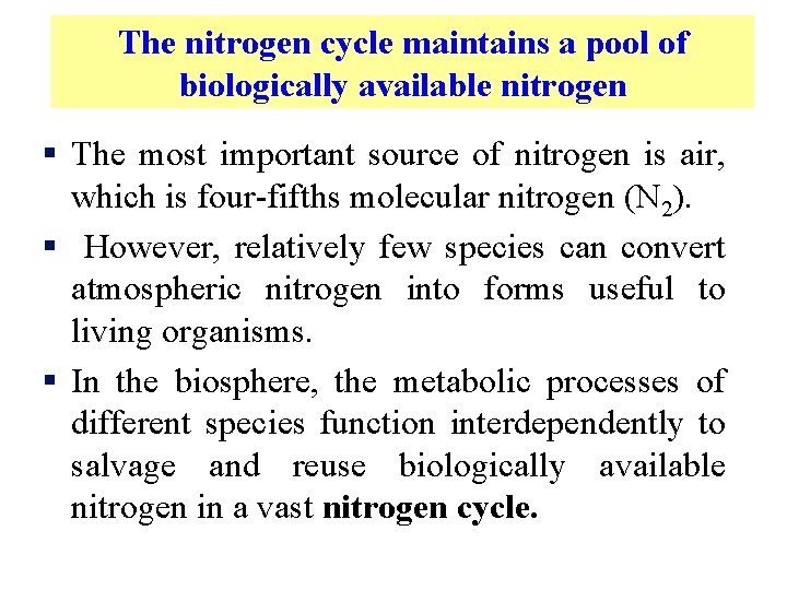 The nitrogen cycle maintains a pool of biologically available nitrogen § The most important