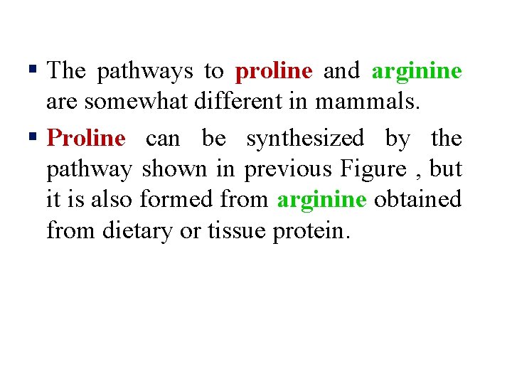 § The pathways to proline and arginine are somewhat different in mammals. § Proline