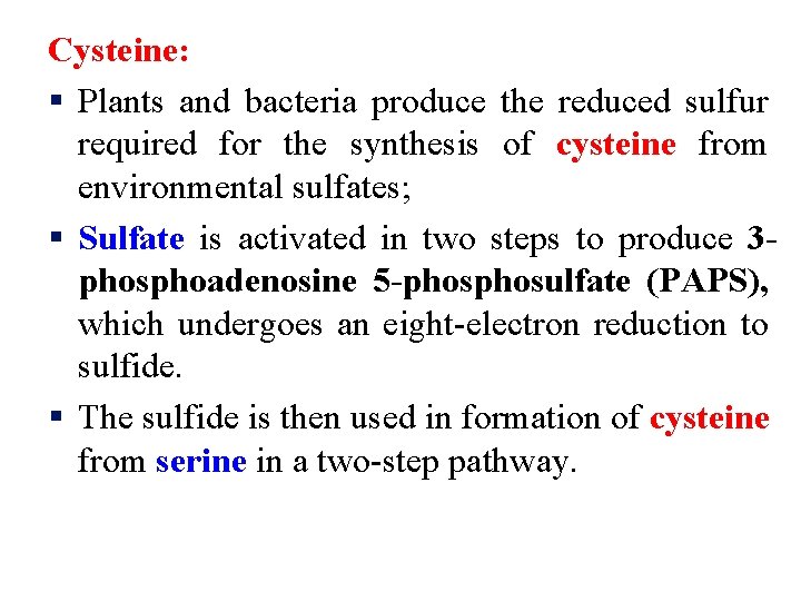 Cysteine: § Plants and bacteria produce the reduced sulfur required for the synthesis of