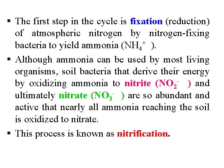 § The first step in the cycle is fixation (reduction) of atmospheric nitrogen by