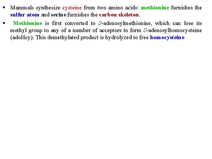 § Mammals synthesize cysteine from two amino acids: methionine furnishes the sulfur atom and