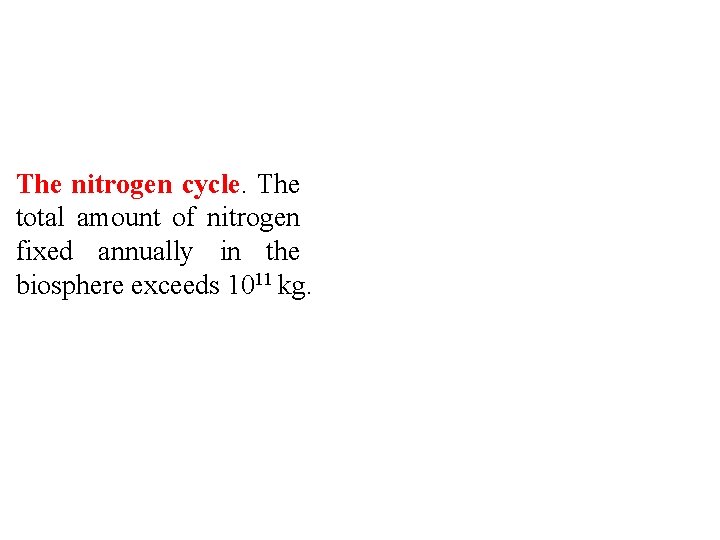 The nitrogen cycle. The total amount of nitrogen fixed annually in the biosphere exceeds