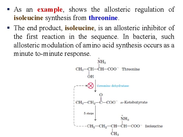 § As an example, shows the allosteric regulation of isoleucine synthesis from threonine. §