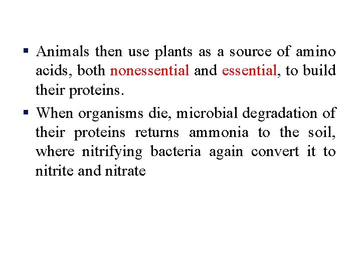 § Animals then use plants as a source of amino acids, both nonessential and