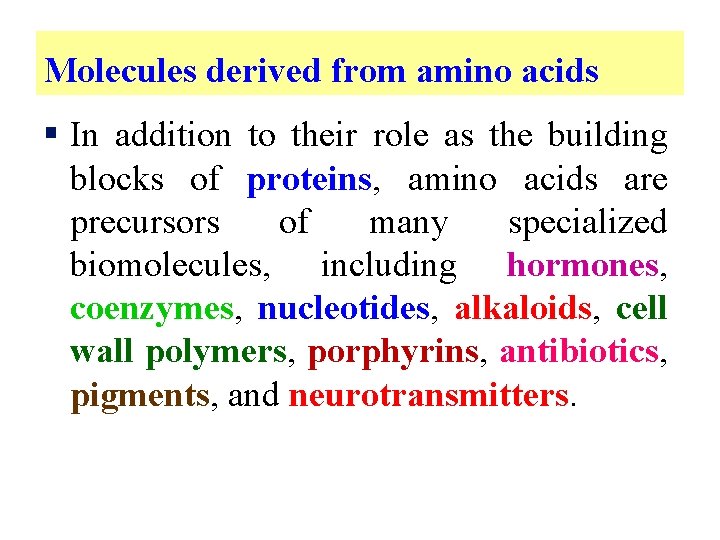 Molecules derived from amino acids § In addition to their role as the building