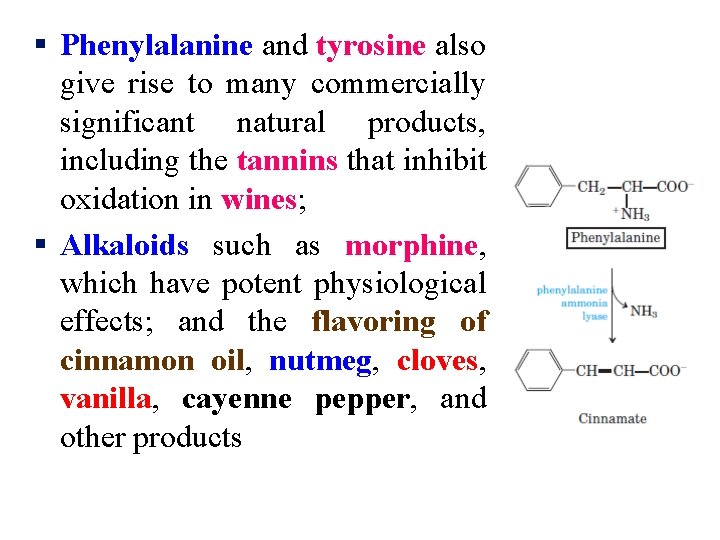 § Phenylalanine and tyrosine also give rise to many commercially significant natural products, including