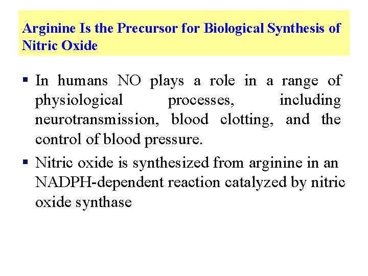 Arginine Is the Precursor for Biological Synthesis of Nitric Oxide § In humans NO
