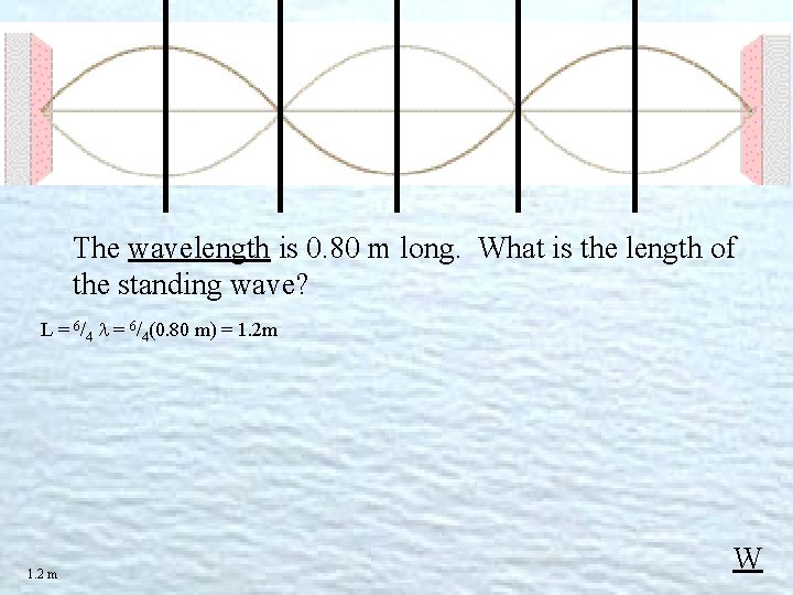 The wavelength is 0. 80 m long. What is the length of the standing