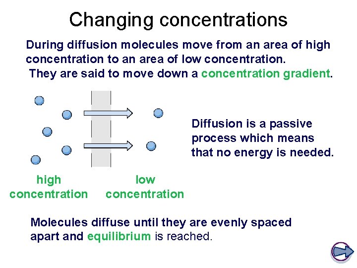 Changing concentrations During diffusion molecules move from an area of high concentration to an Changing concentrations During diffusion molecules move from an area of high concentration to an