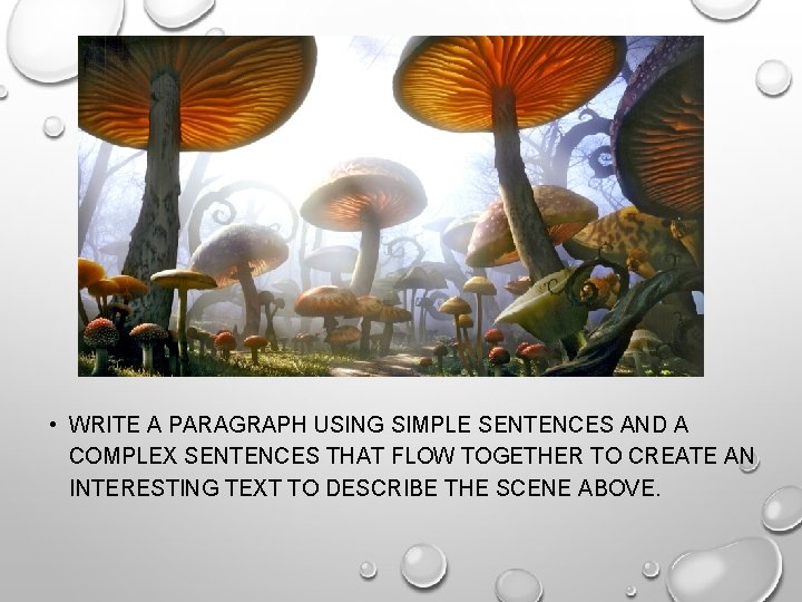  • WRITE A PARAGRAPH USING SIMPLE SENTENCES AND A COMPLEX SENTENCES THAT FLOW