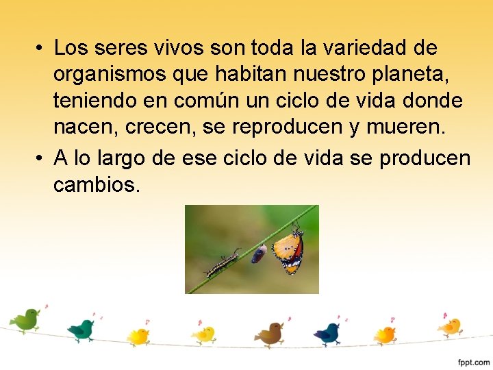 • Los seres vivos son toda la variedad de organismos que habitan nuestro