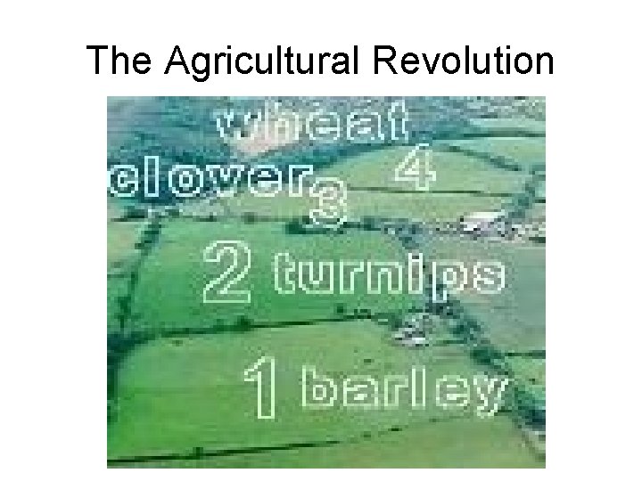 The Agricultural Revolution 