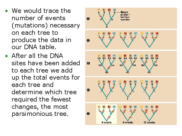  • We would trace the number of events (mutations) necessary on each tree