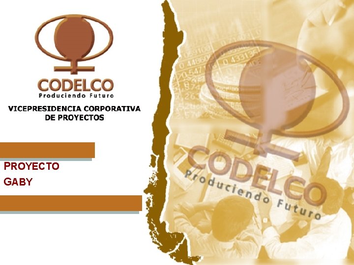 PROYECTO GABY CODELCO Vicepresidencia Corporativa de Proyectos 24 