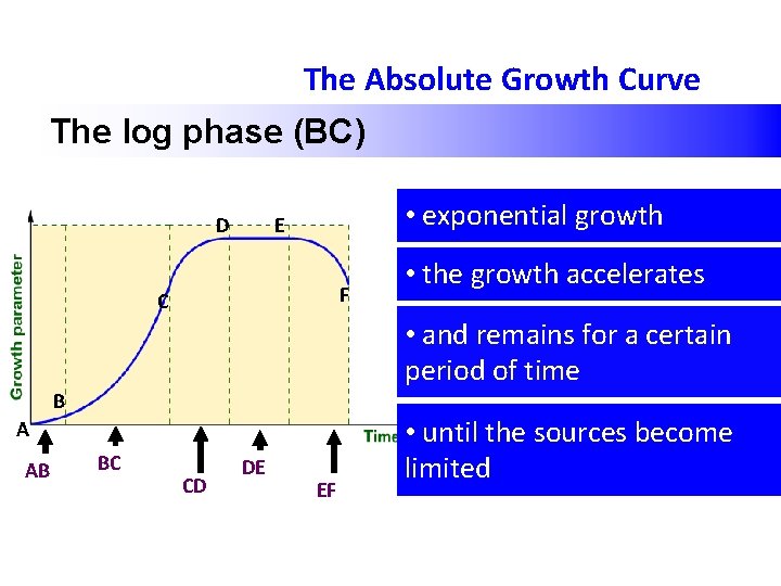 The Absolute Growth Curve The log phase (BC) D • exponential growth E F