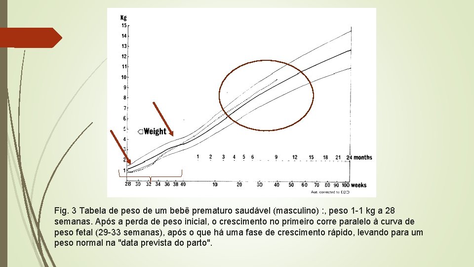 Fig. 3 Tabela de peso de um bebê prematuro saudável (masculino) : , peso