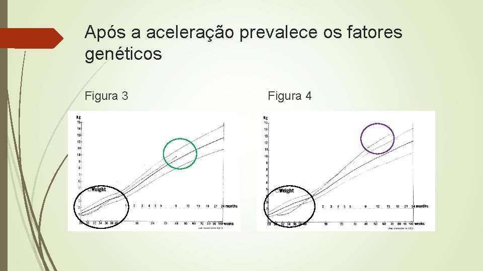 Após a aceleração prevalece os fatores genéticos Figura 3 Figura 4 