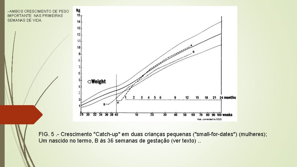 --AMBOS CRESCIMENTO DE PESO IMPORTANTE NAS PRIMEIRAS SEMANAS DE VIDA. FIG. 5. - Crescimento