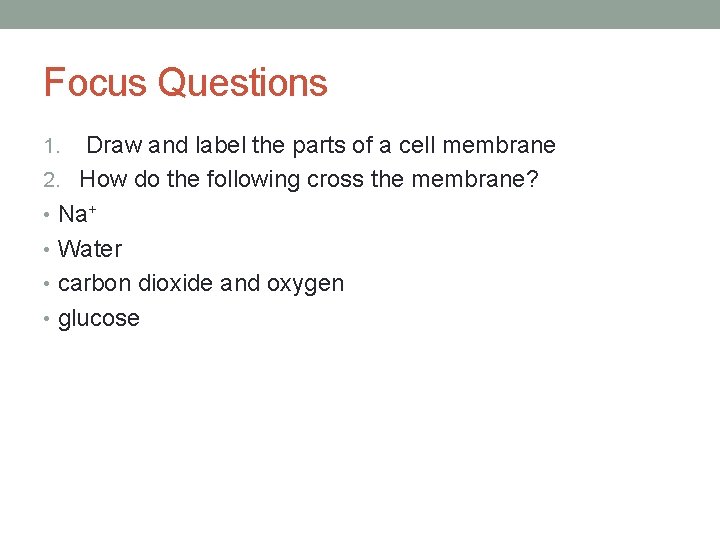 Focus Questions Draw and label the parts of a cell membrane 2. How do