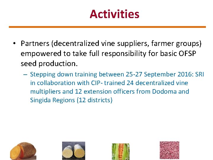 Activities • Partners (decentralized vine suppliers, farmer groups) empowered to take full responsibility for