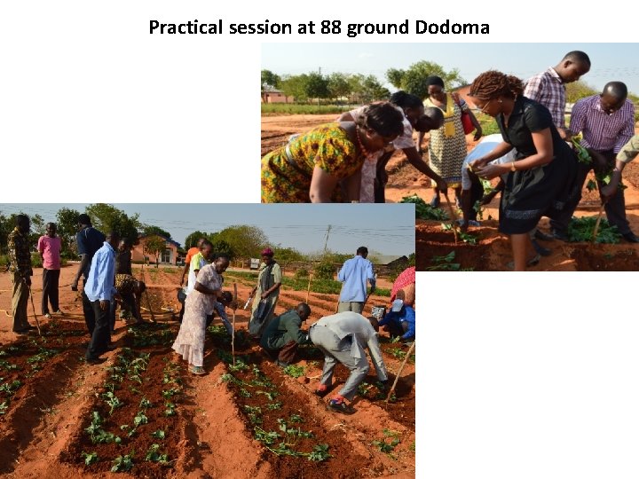 Practical session at 88 ground Dodoma 