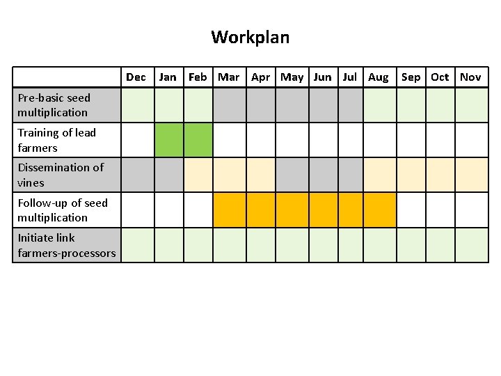 Workplan Dec Pre-basic seed multiplication Training of lead farmers Dissemination of vines Follow-up of