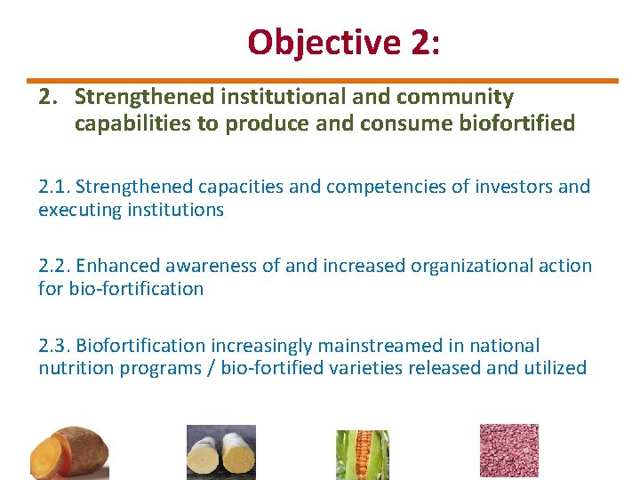 Objective 2: 2. Strengthened institutional and community capabilities to produce and consume biofortified 2.