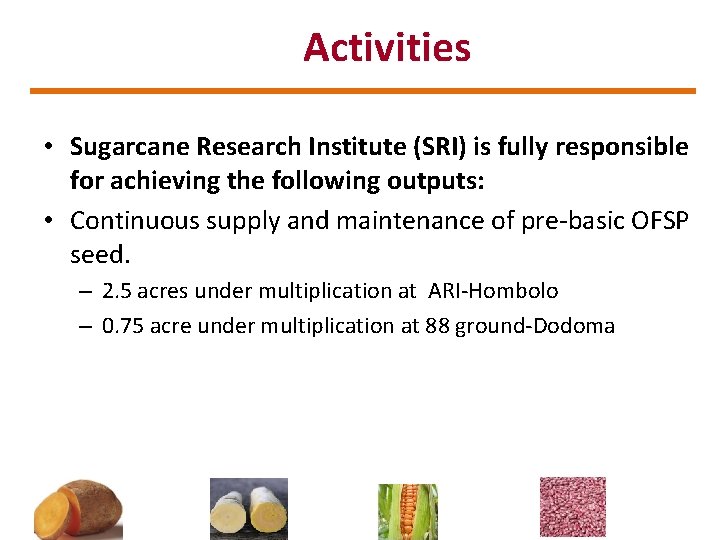Activities • Sugarcane Research Institute (SRI) is fully responsible for achieving the following outputs: