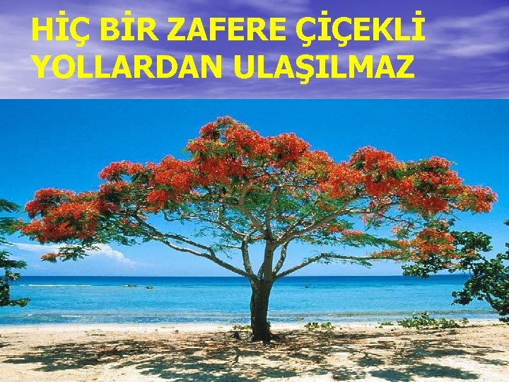 HİÇ BİR ZAFERE ÇİÇEKLİ YOLLARDAN ULAŞILMAZ 