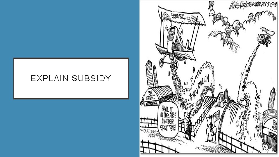 EXPLAIN SUBSIDY 