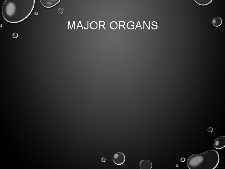 MAJOR ORGANS 