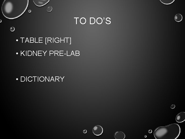 TO DO’S • TABLE [RIGHT] • KIDNEY PRE-LAB • DICTIONARY 